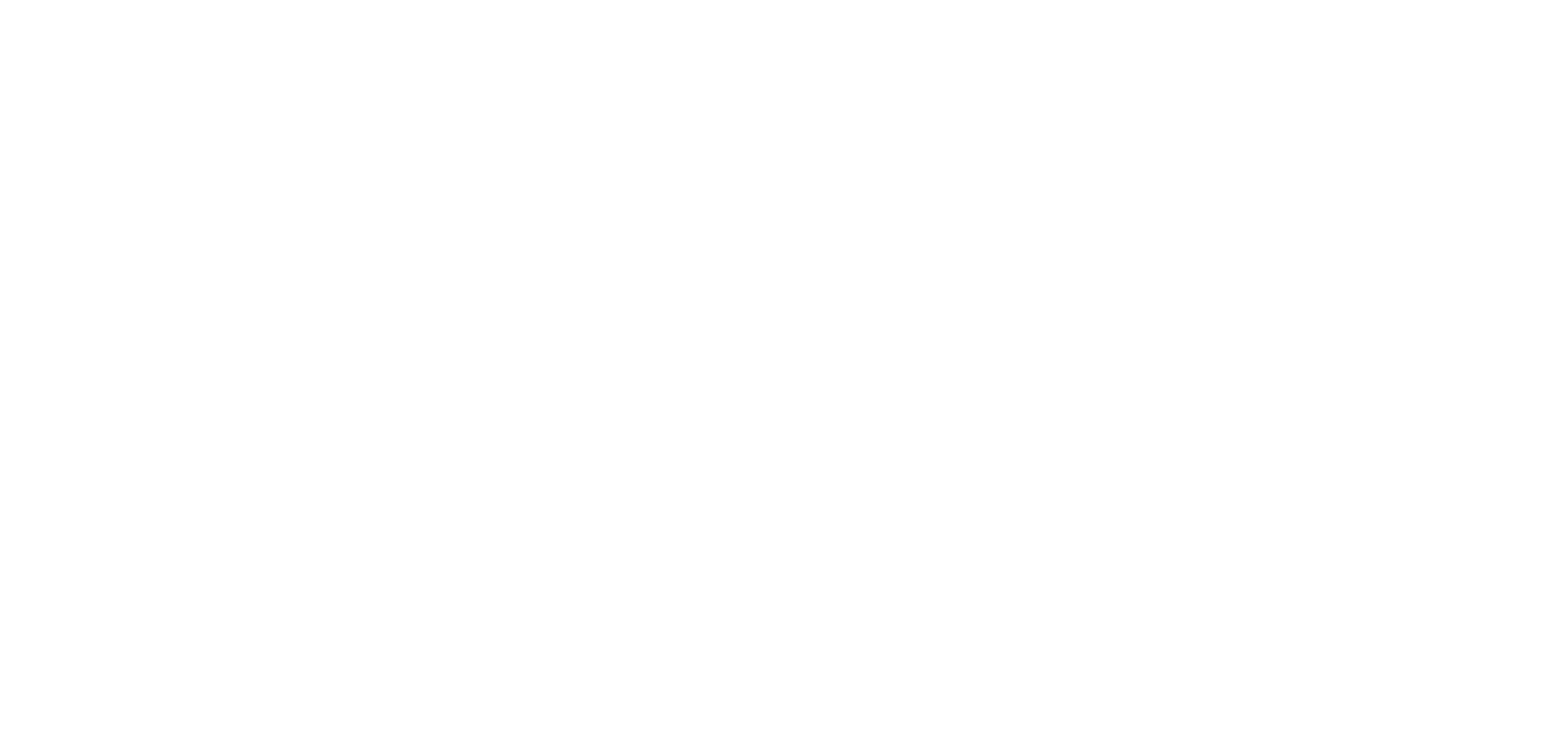 Logo Ibini