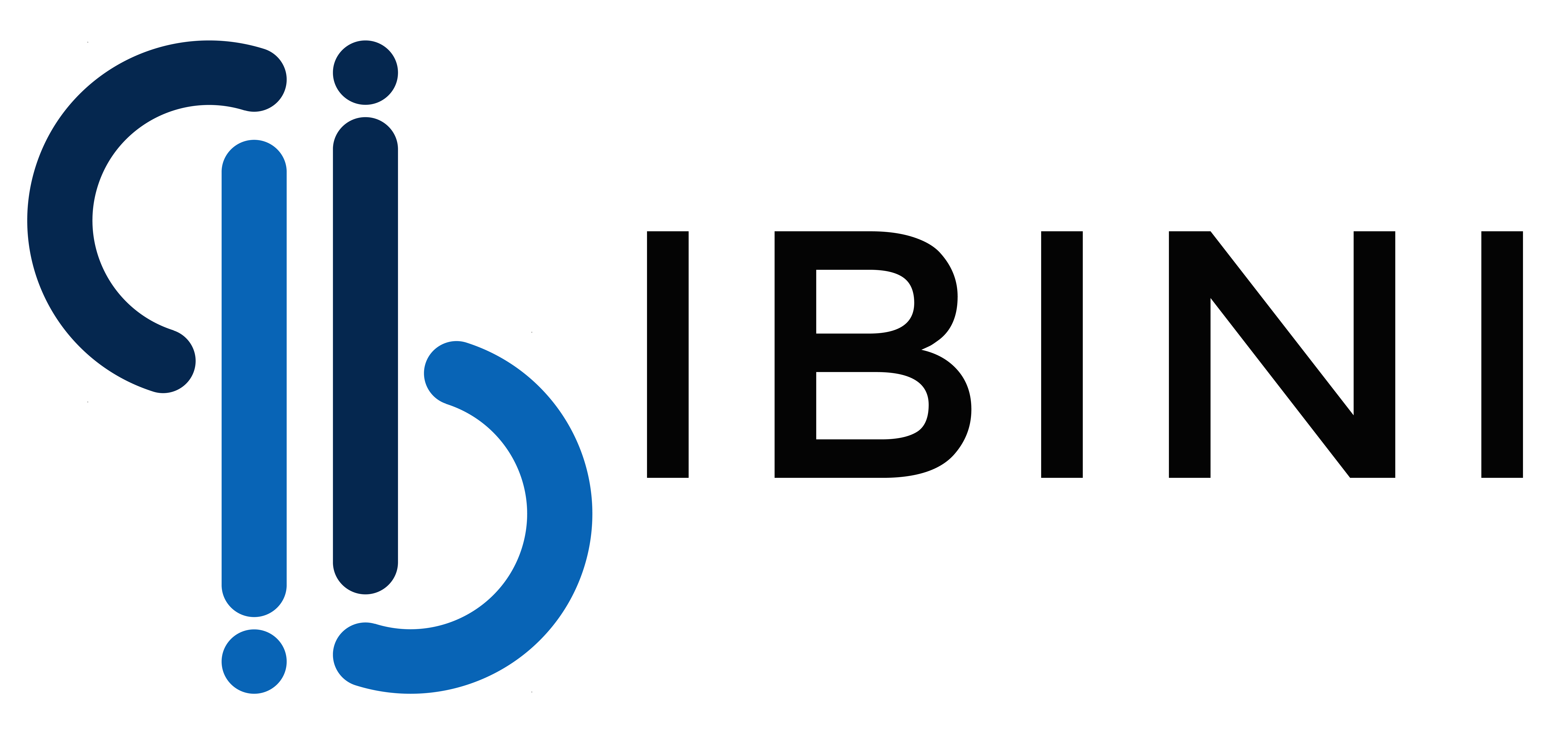 Logo Ibini